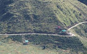 Dhauladhar Woodhouse